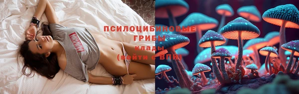 дмт Алексеевка