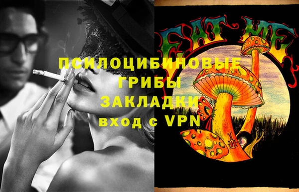 дмт Алексеевка