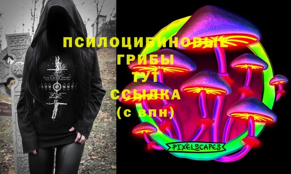 шишки Осинники