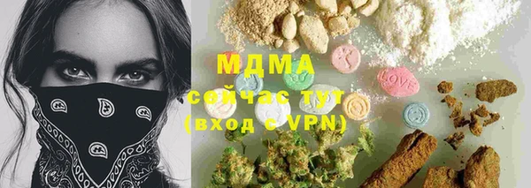 молекула духа Осташков