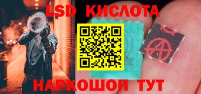 прущие грибы Донской