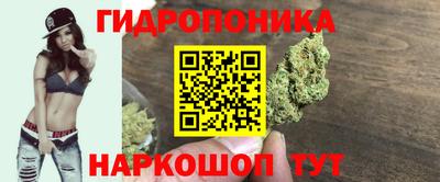 молекула духа Донецк