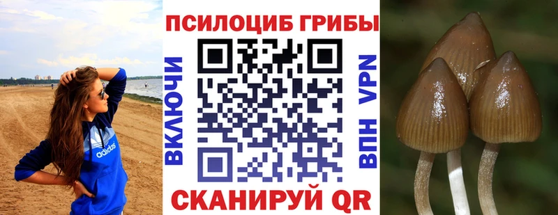 Псилоцибиновые грибы GOLDEN TEACHER  Туймазы 